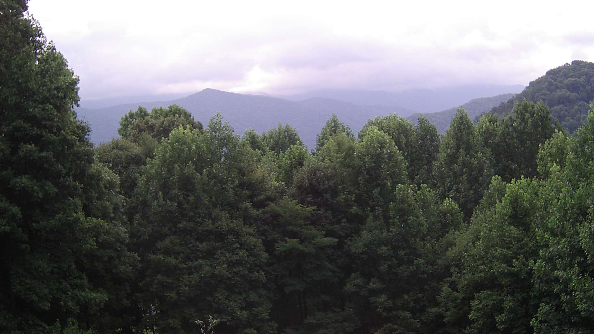 click for next image... slideshow image
