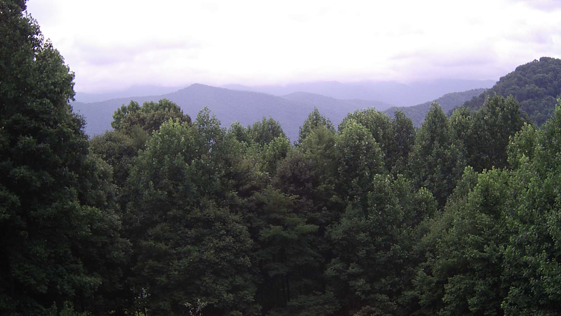 click for next image... slideshow image