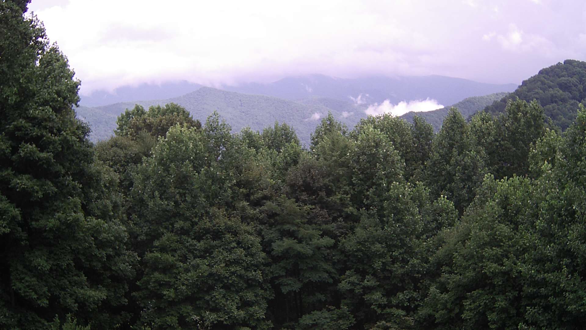click for next image... slideshow image