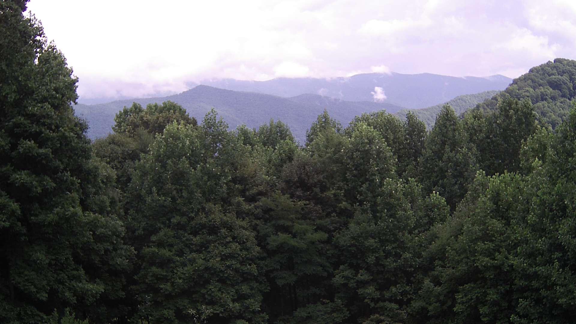 click for next image... slideshow image