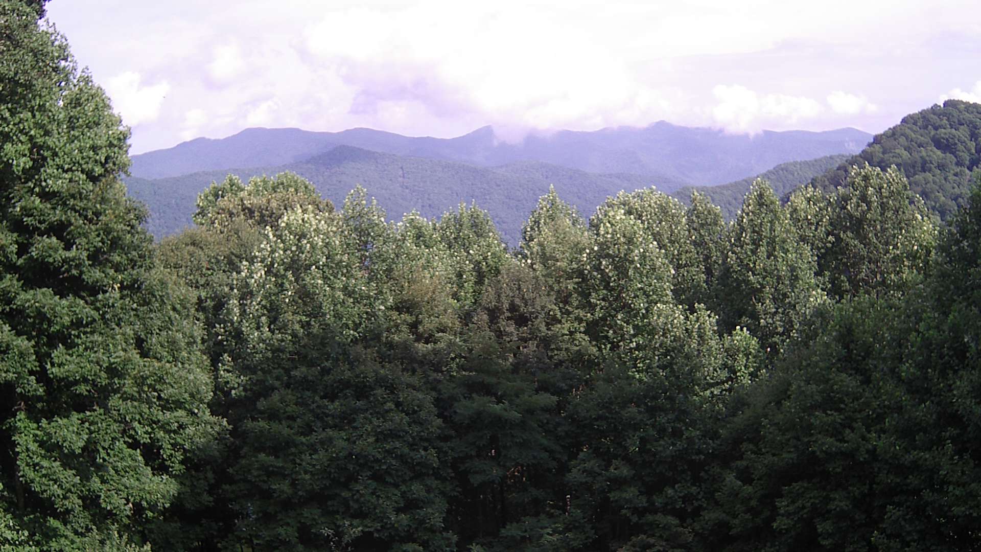 click for next image... slideshow image