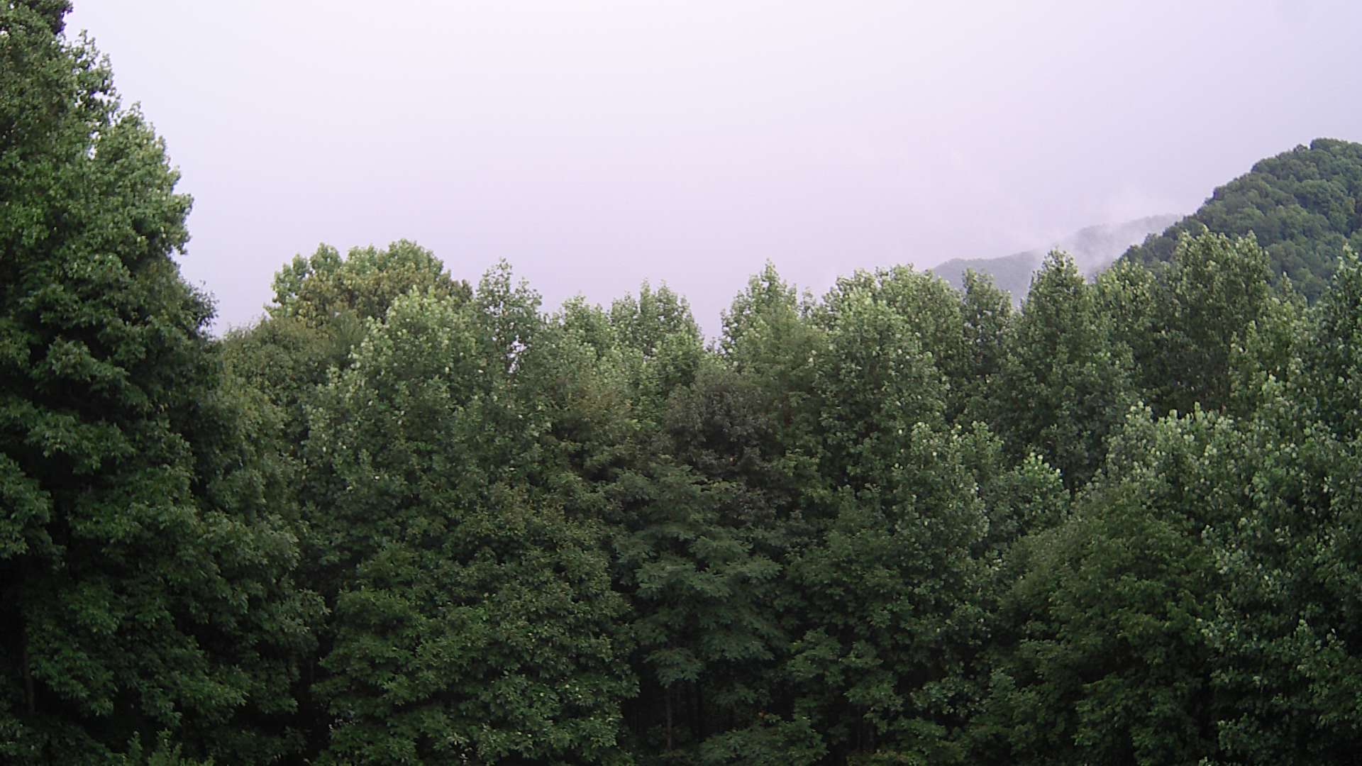 click for next image... slideshow image