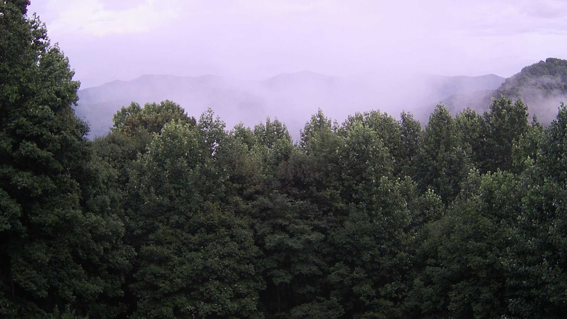 click for next image... slideshow image