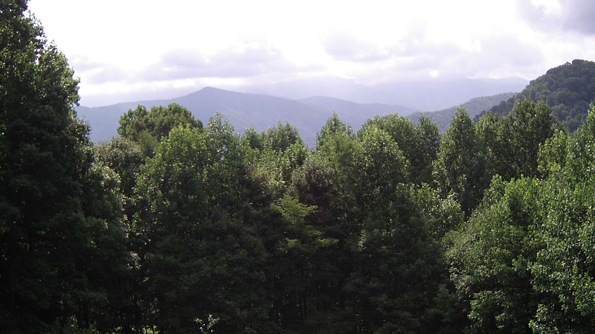 click for next image... slideshow image