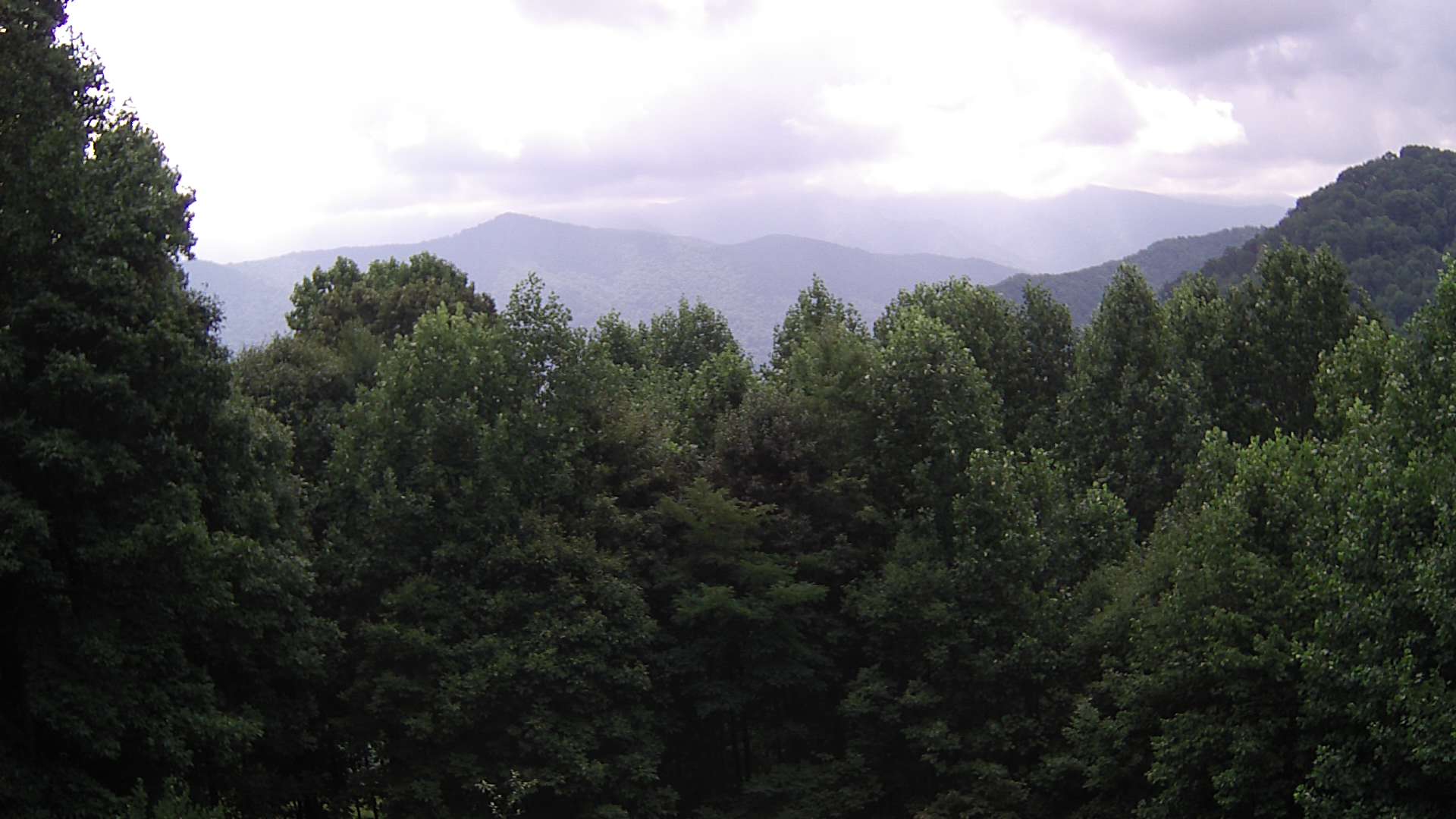 click for next image... slideshow image