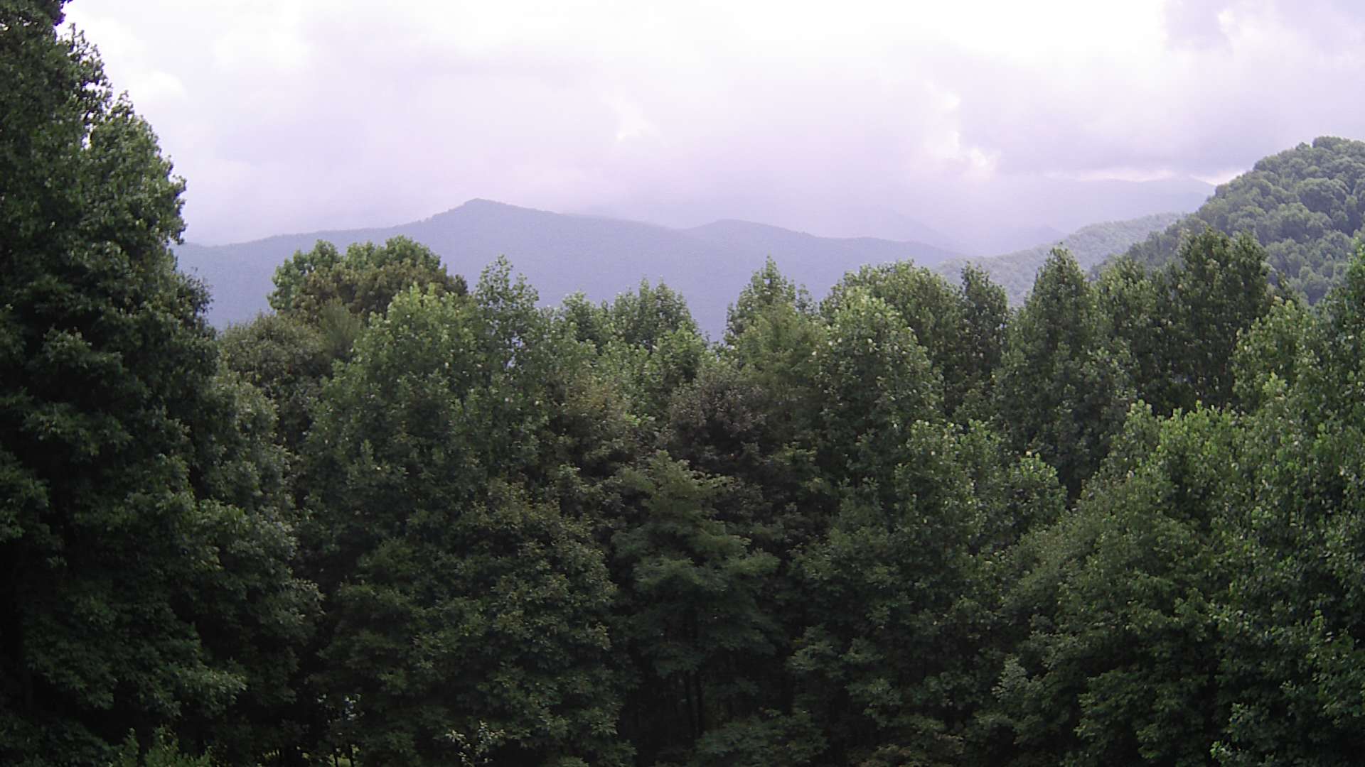 click for next image... slideshow image