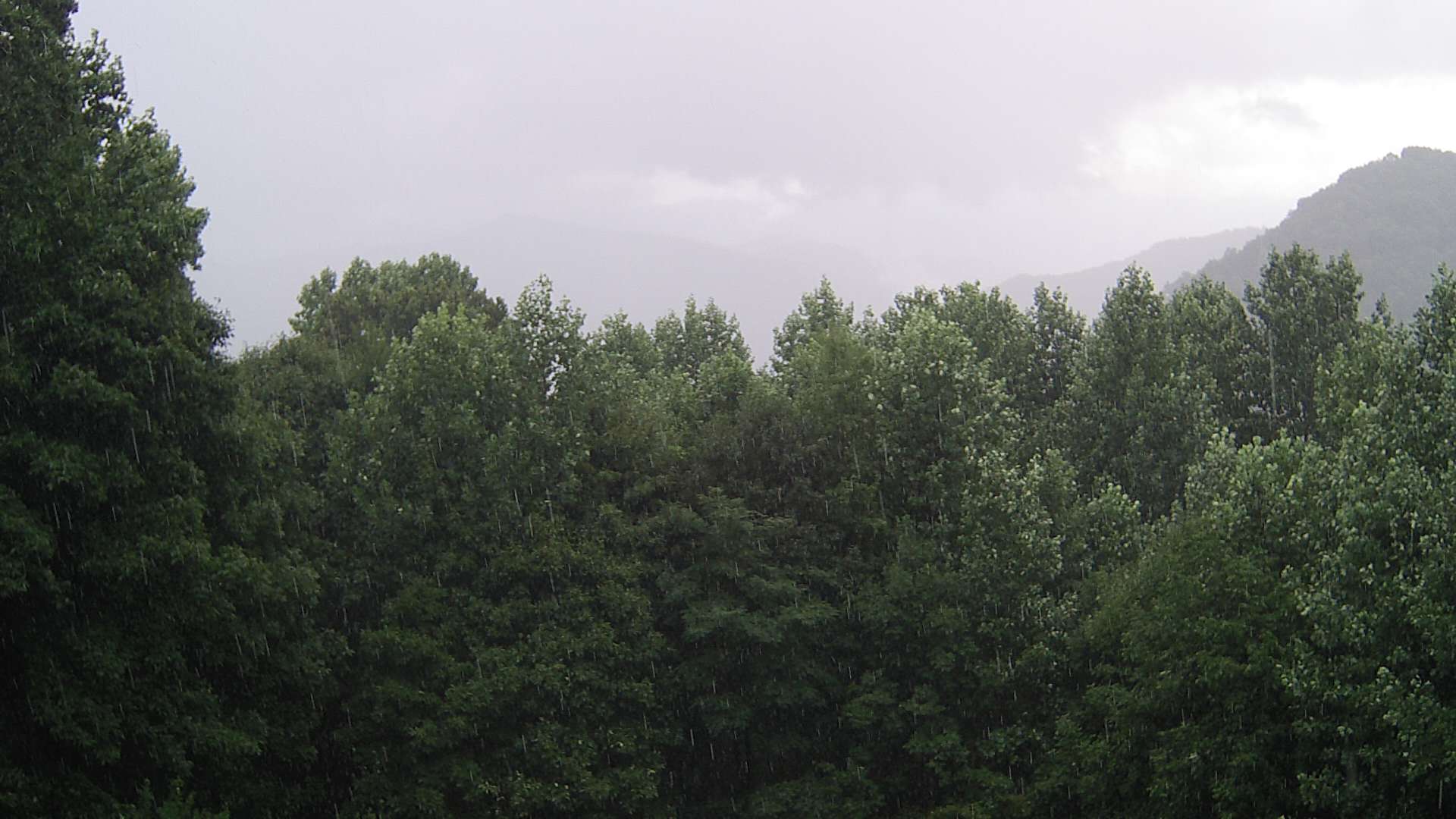 click for next image... slideshow image