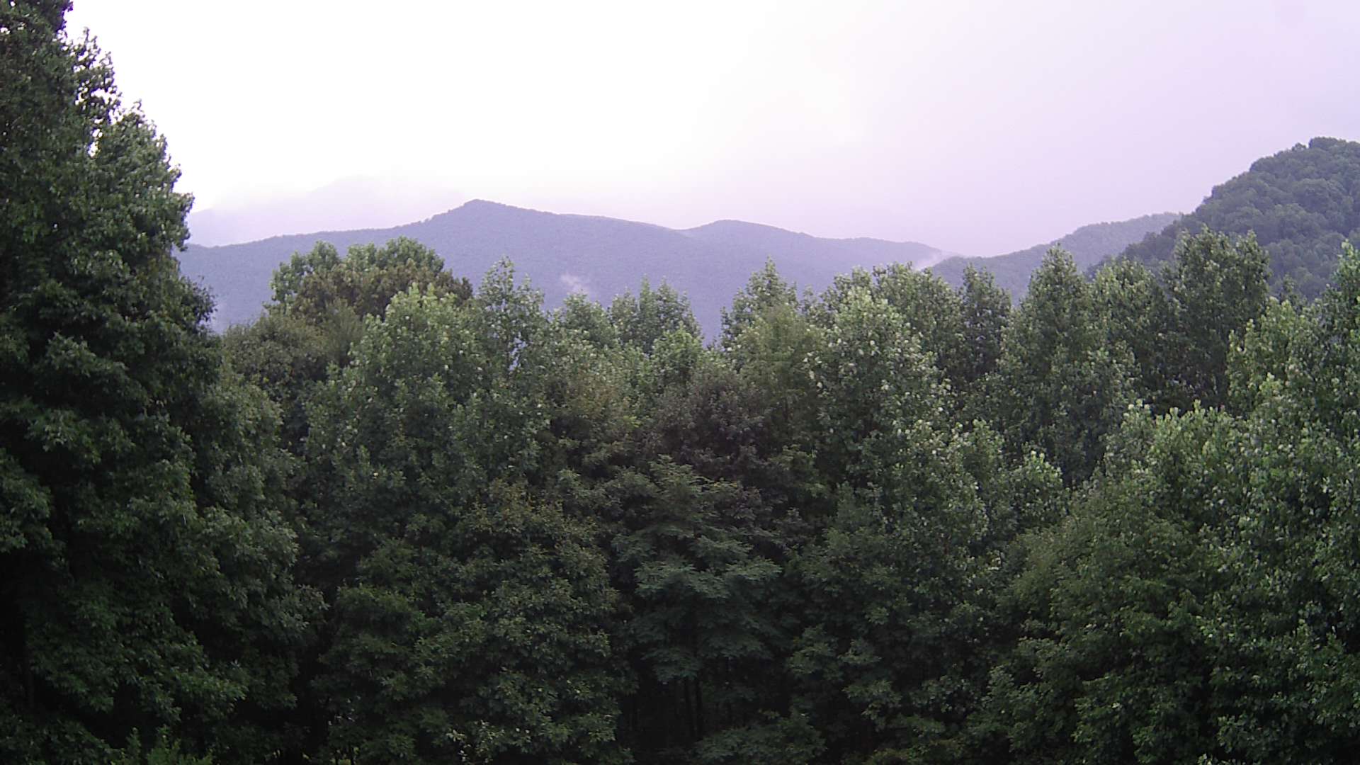 click for next image... slideshow image