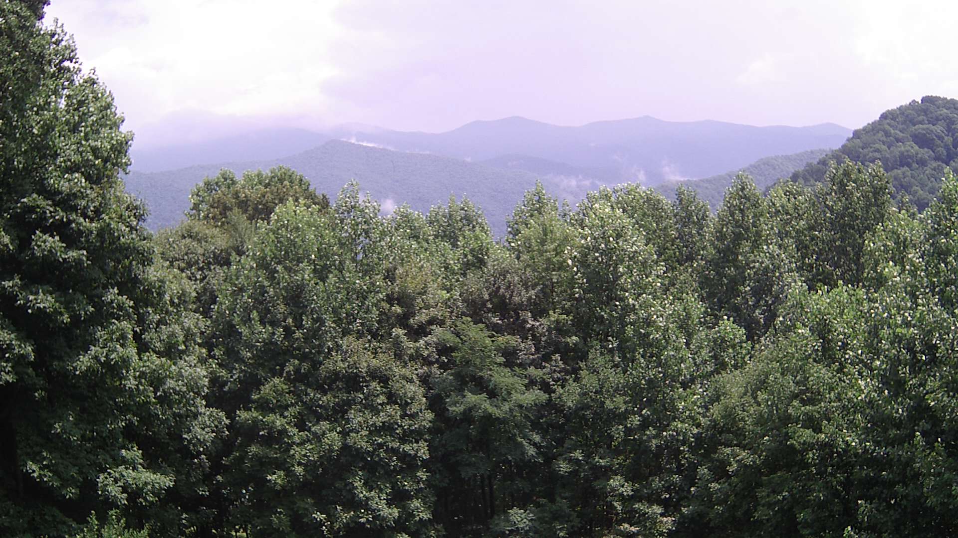 click for next image... slideshow image