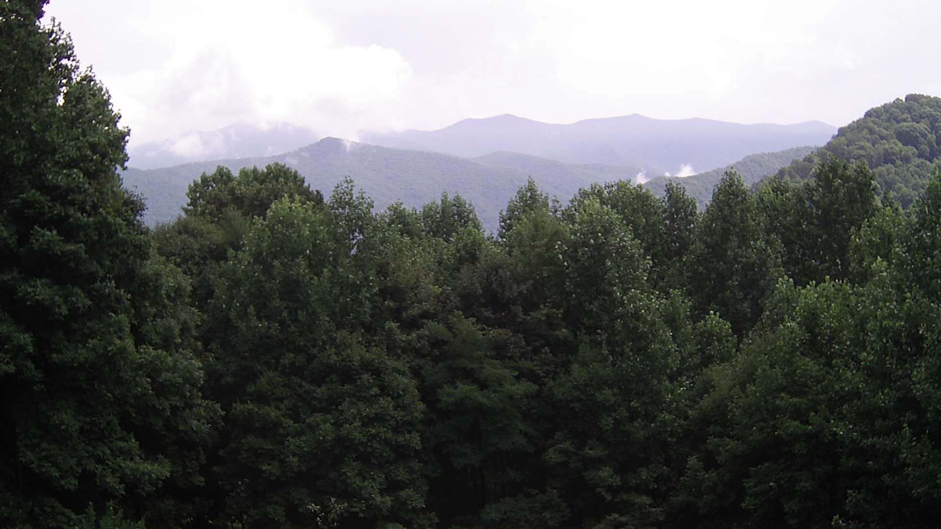 click for next image... slideshow image