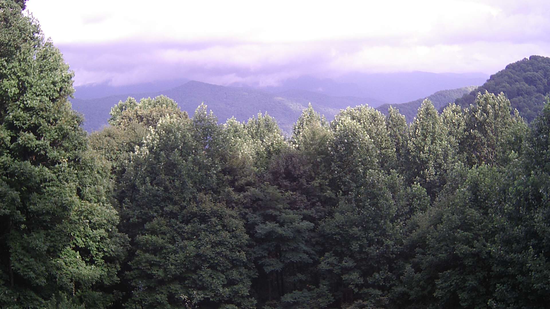 click for next image... slideshow image