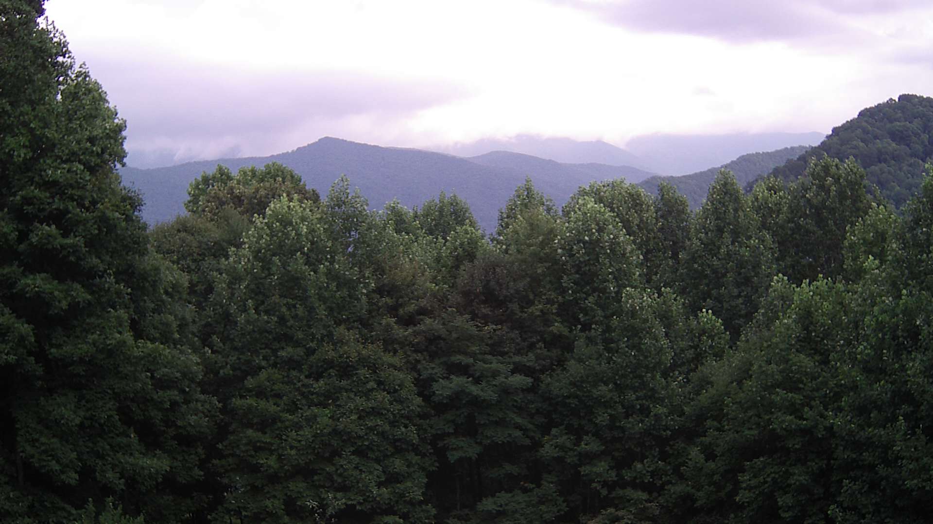 click for next image... slideshow image