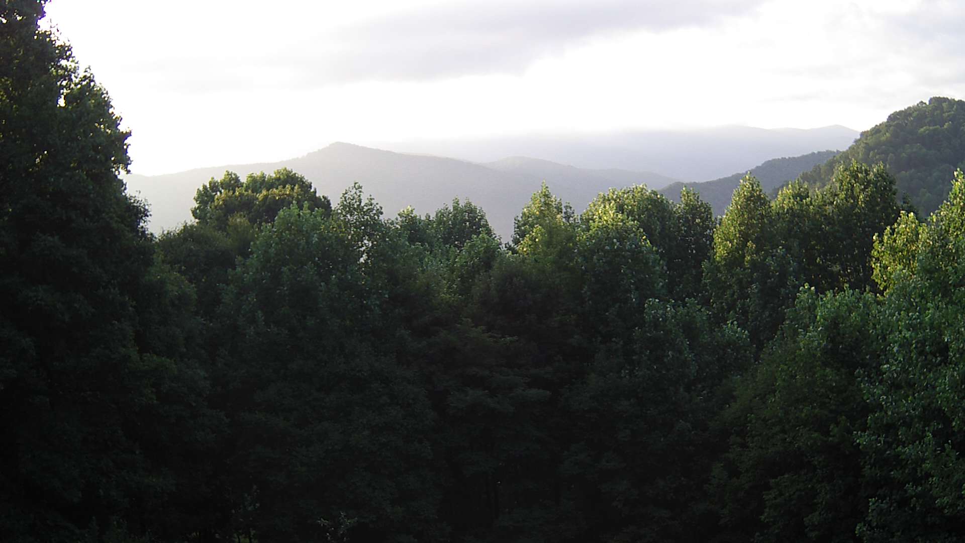 click for next image... slideshow image