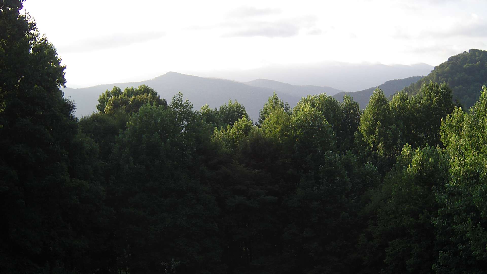 click for next image... slideshow image