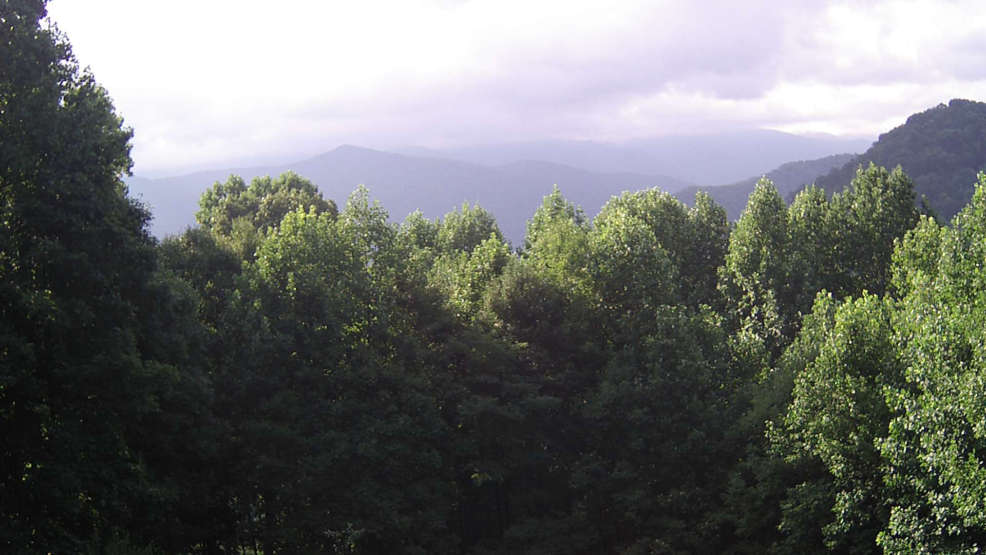click for next image... slideshow image