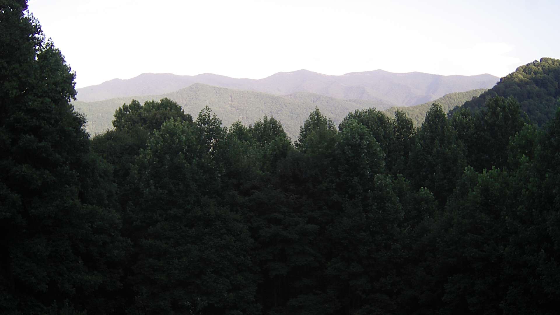 click for next image... slideshow image