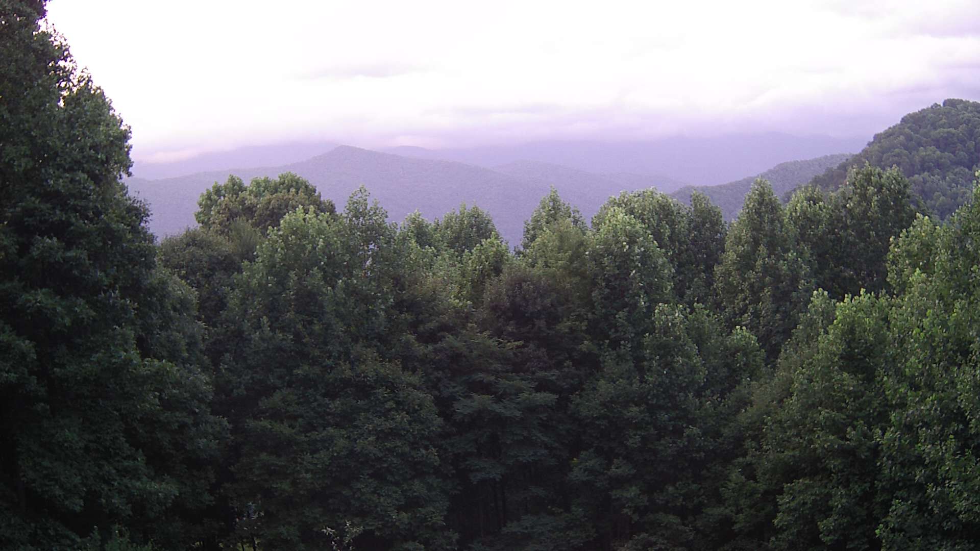 click for next image... slideshow image