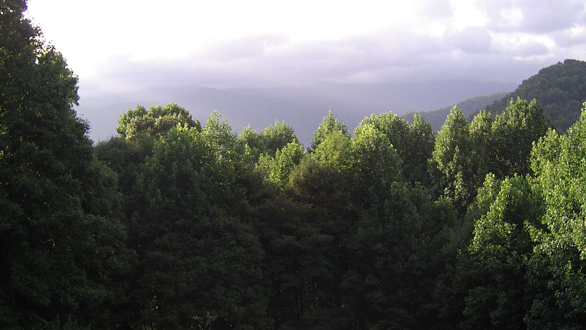 click for next image... slideshow image