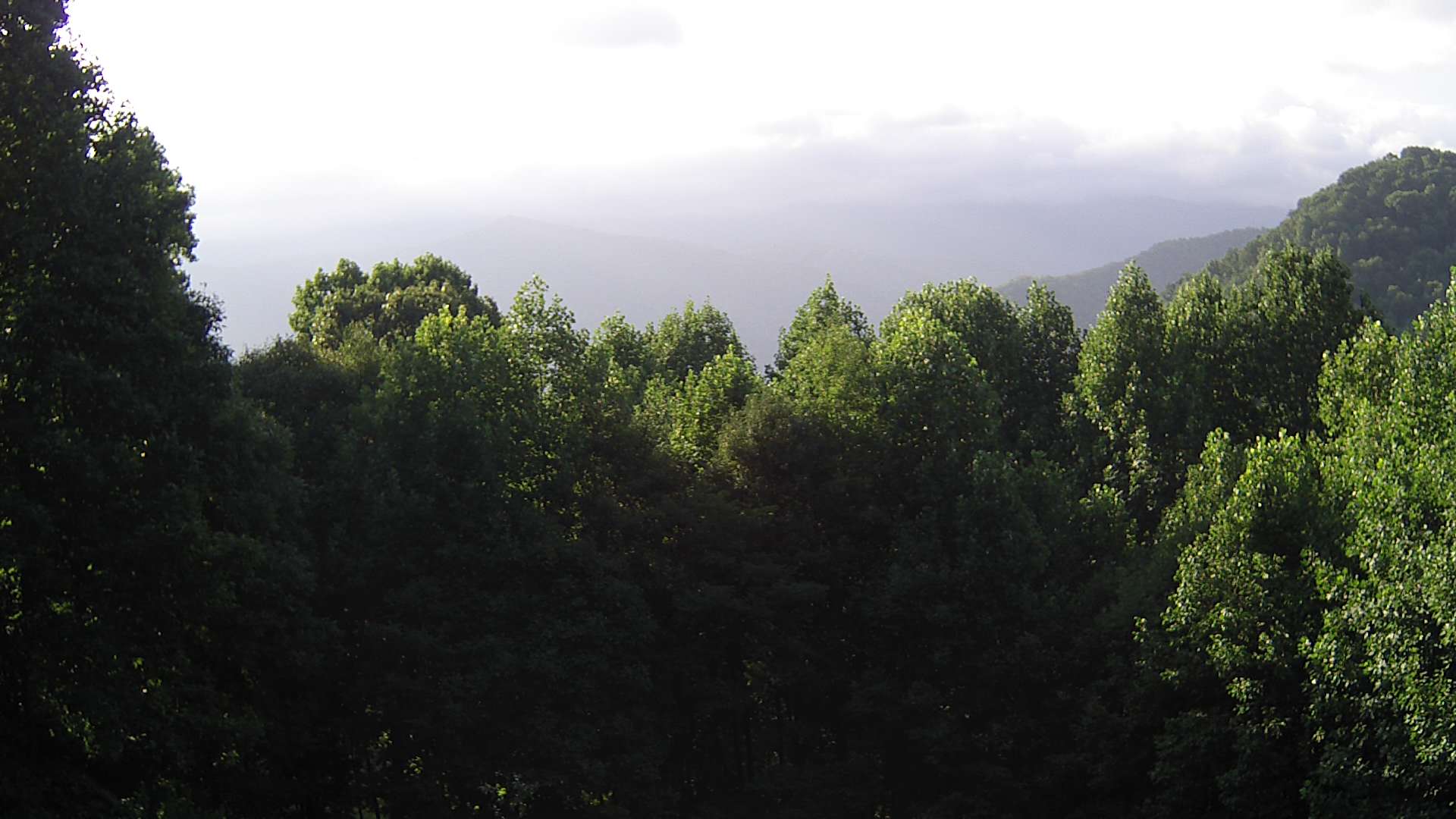 click for next image... slideshow image