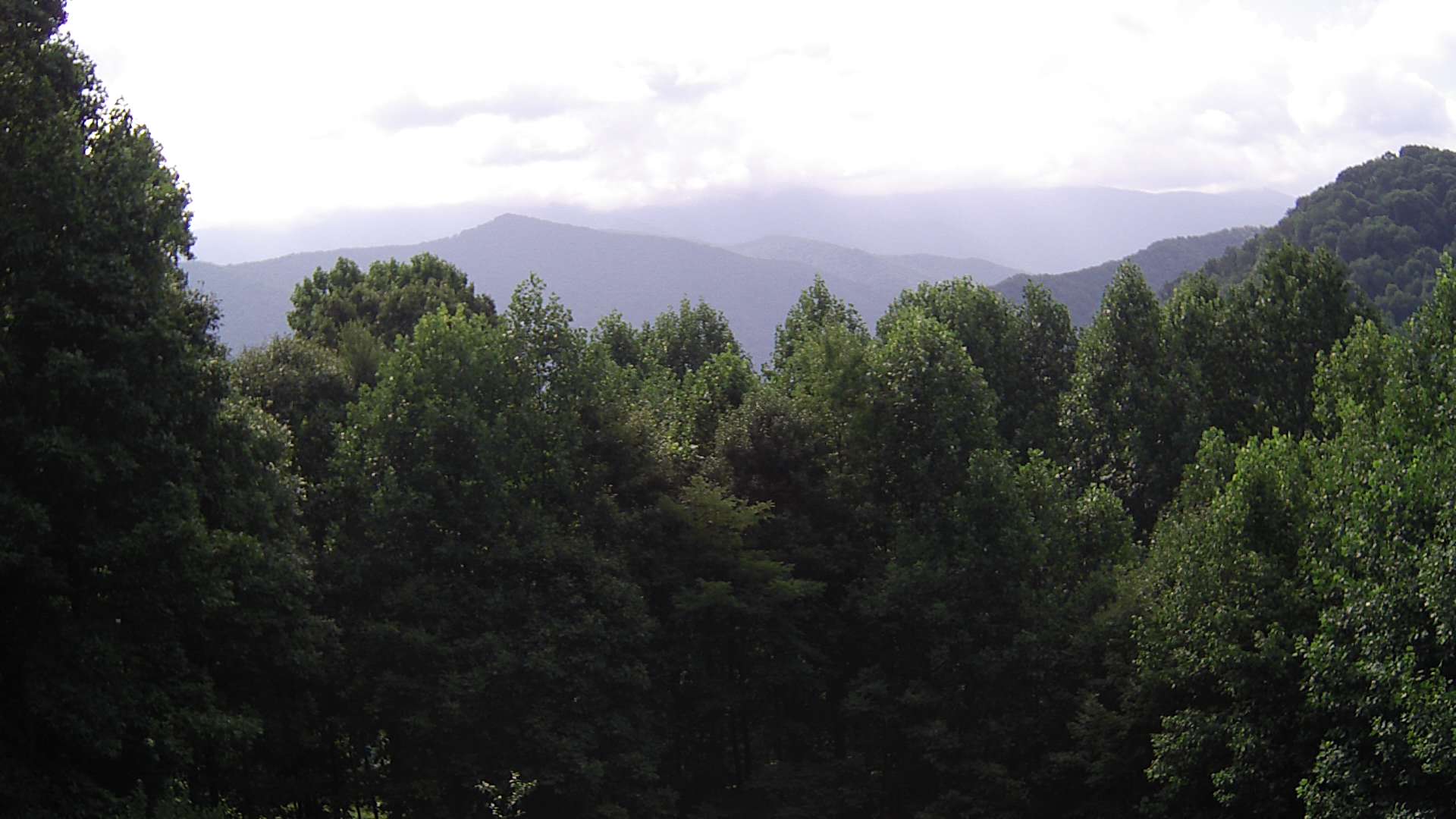 click for next image... slideshow image