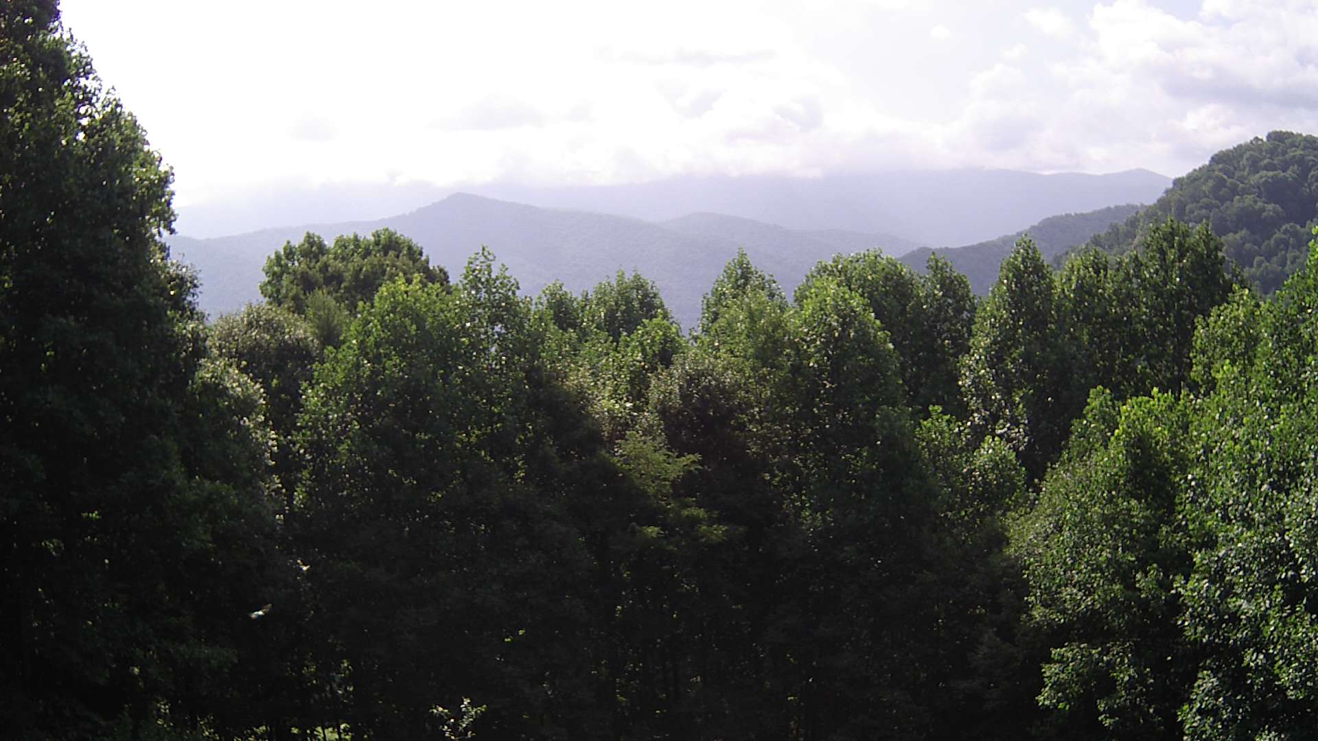 click for next image... slideshow image