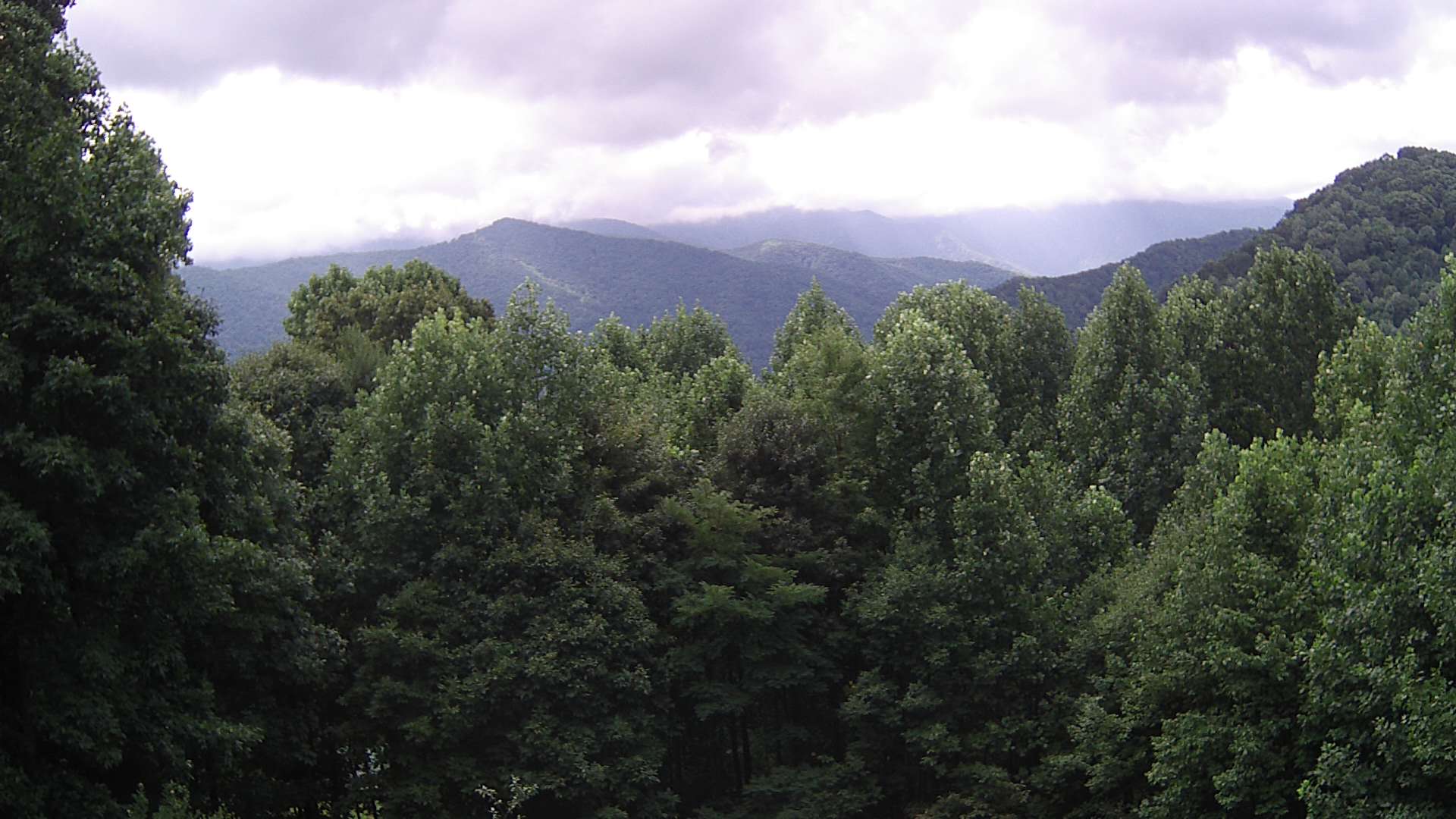 click for next image... slideshow image