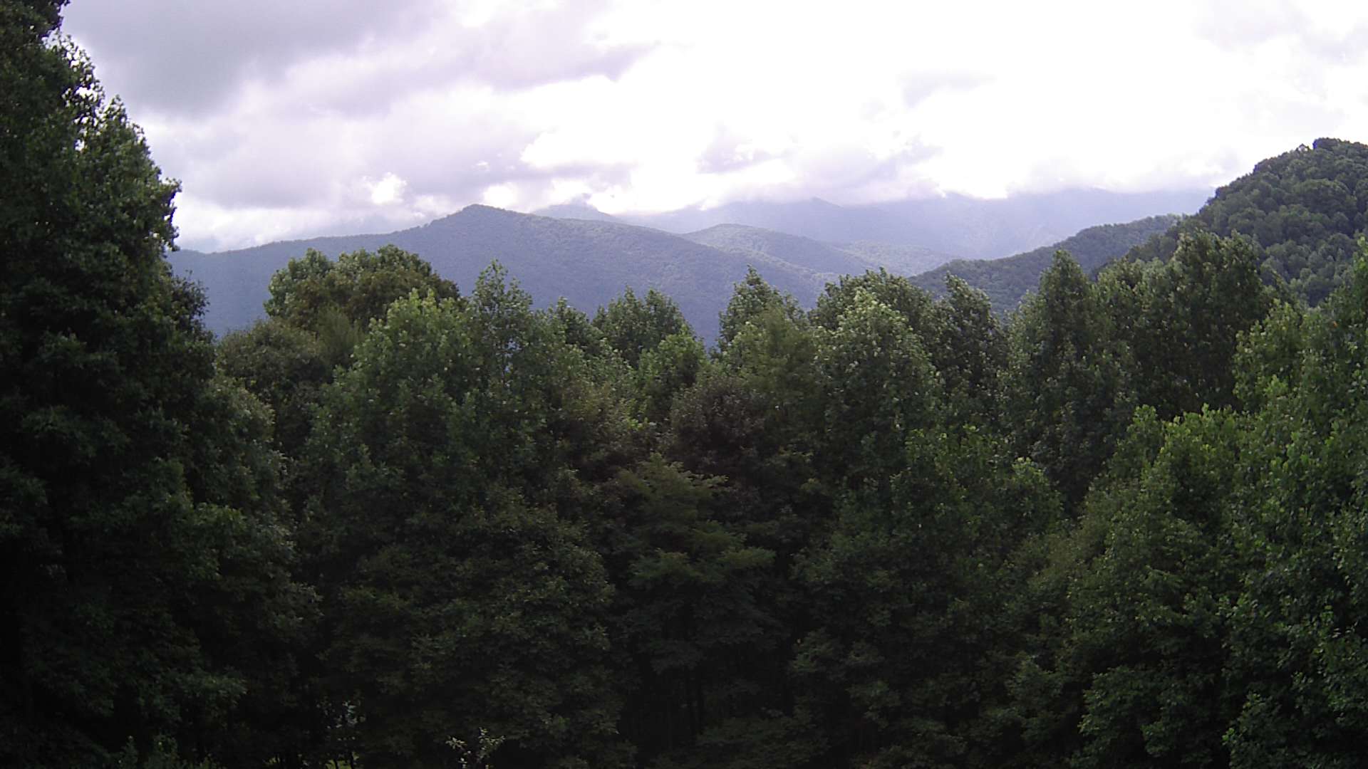 click for next image... slideshow image