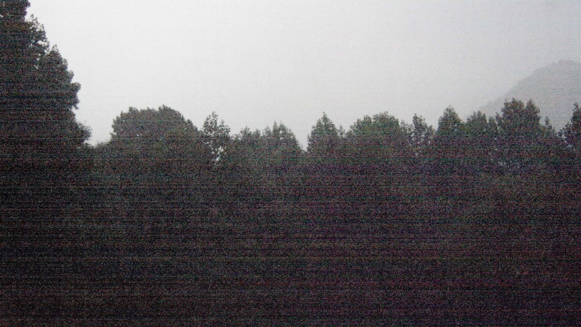 click for next image... slideshow image