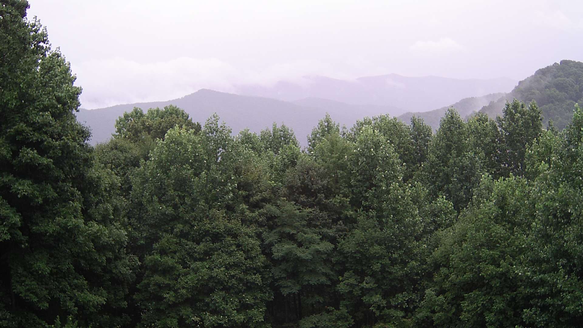 click for next image... slideshow image