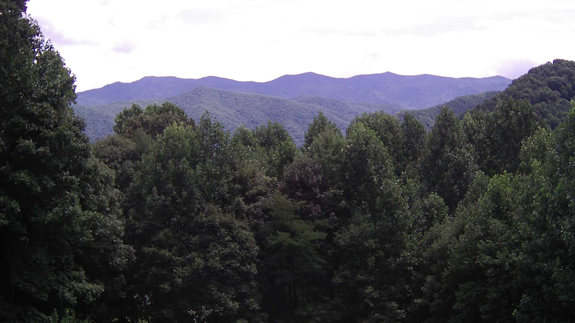 click for next image... slideshow image