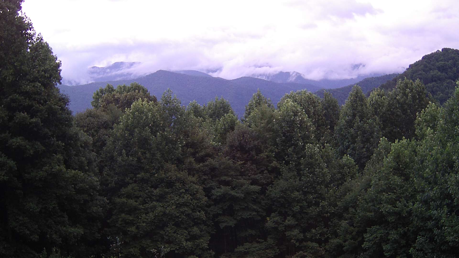 click for next image... slideshow image