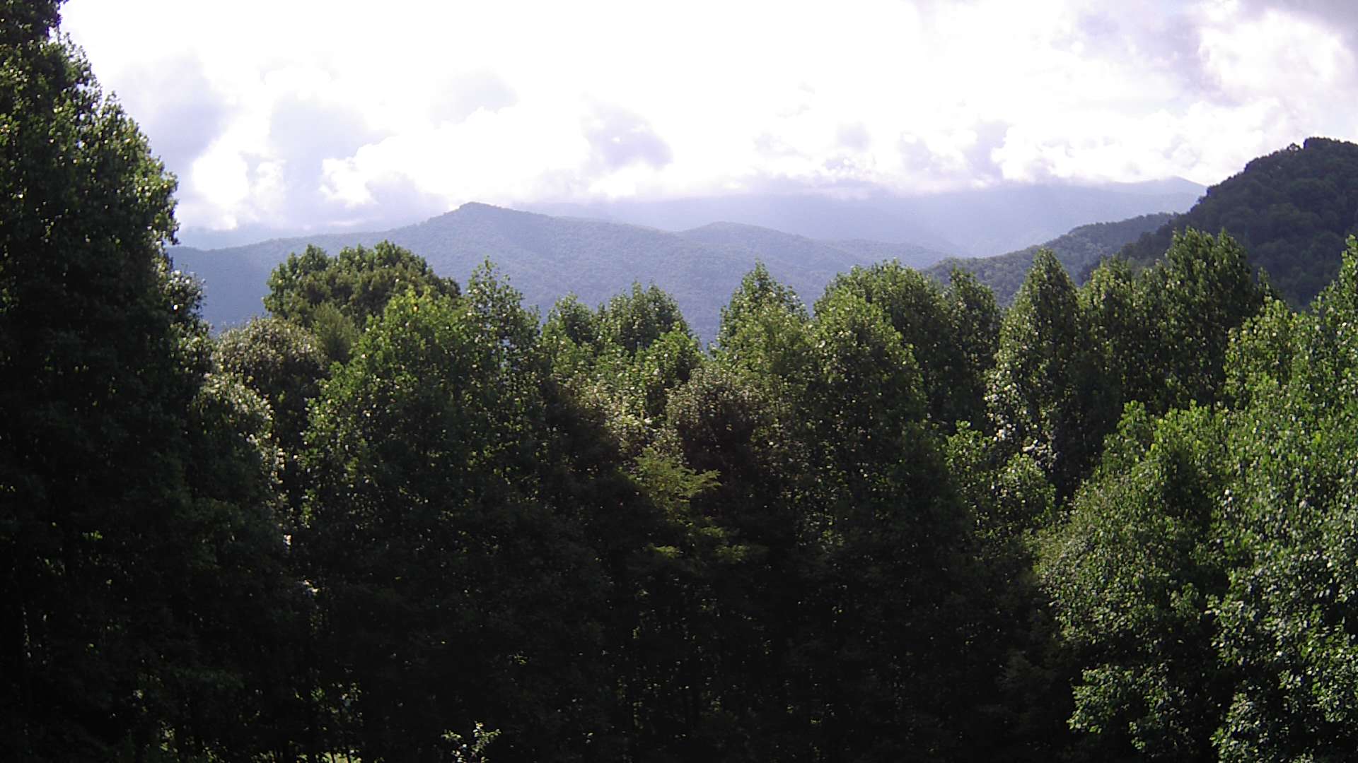 click for next image... slideshow image