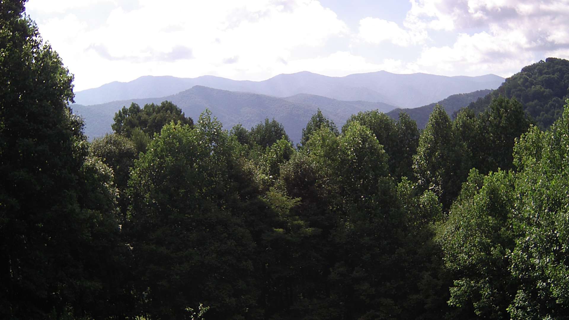 click for next image... slideshow image