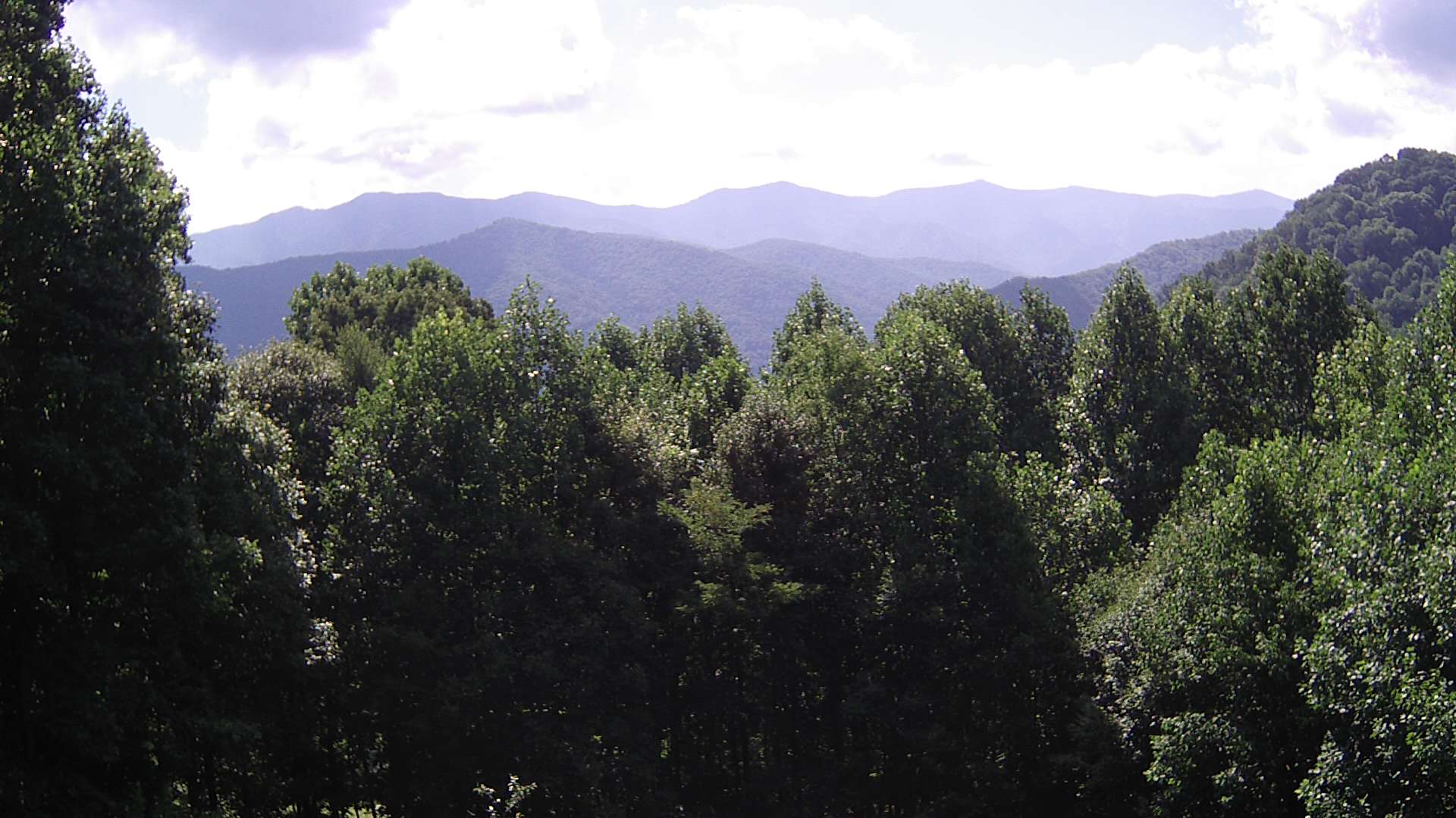 click for next image... slideshow image