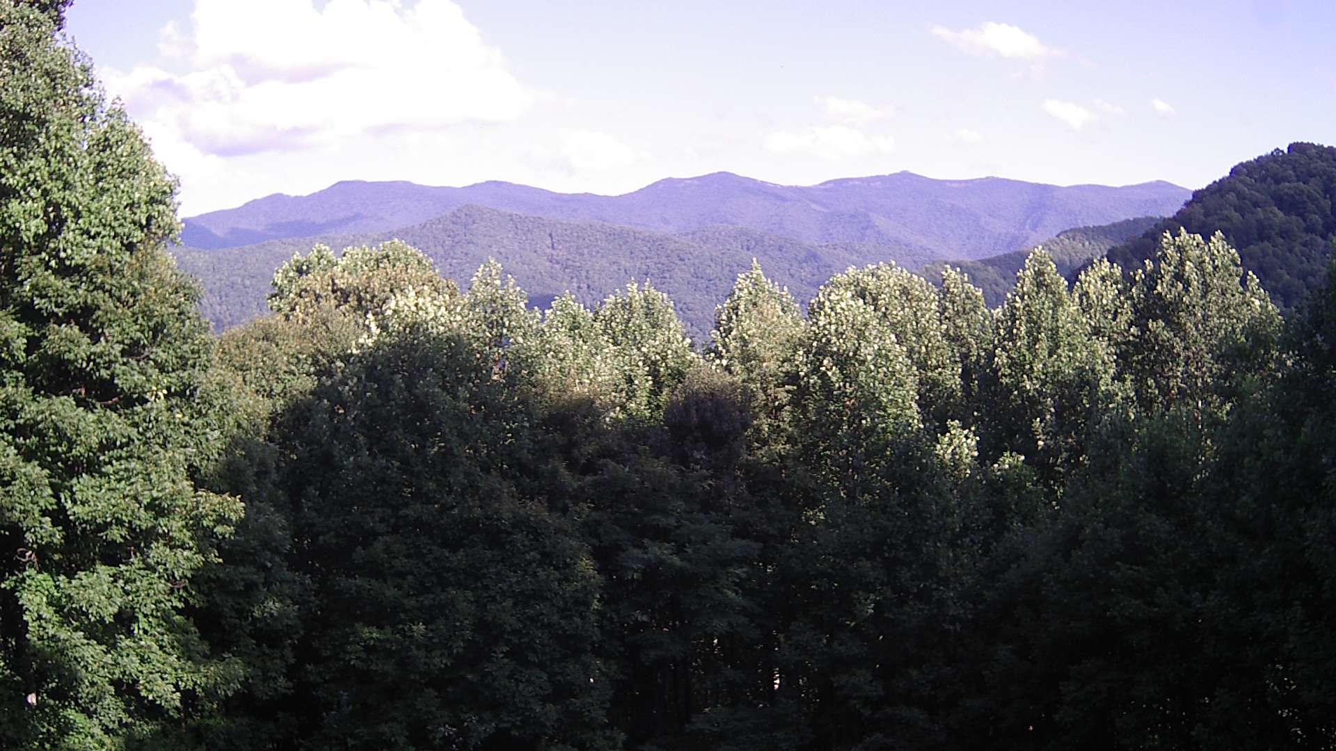 click for next image... slideshow image