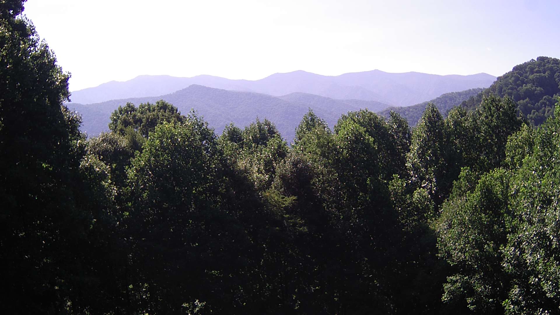 click for next image... slideshow image