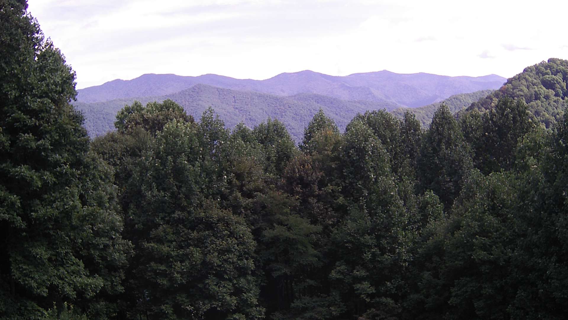 click for next image... slideshow image