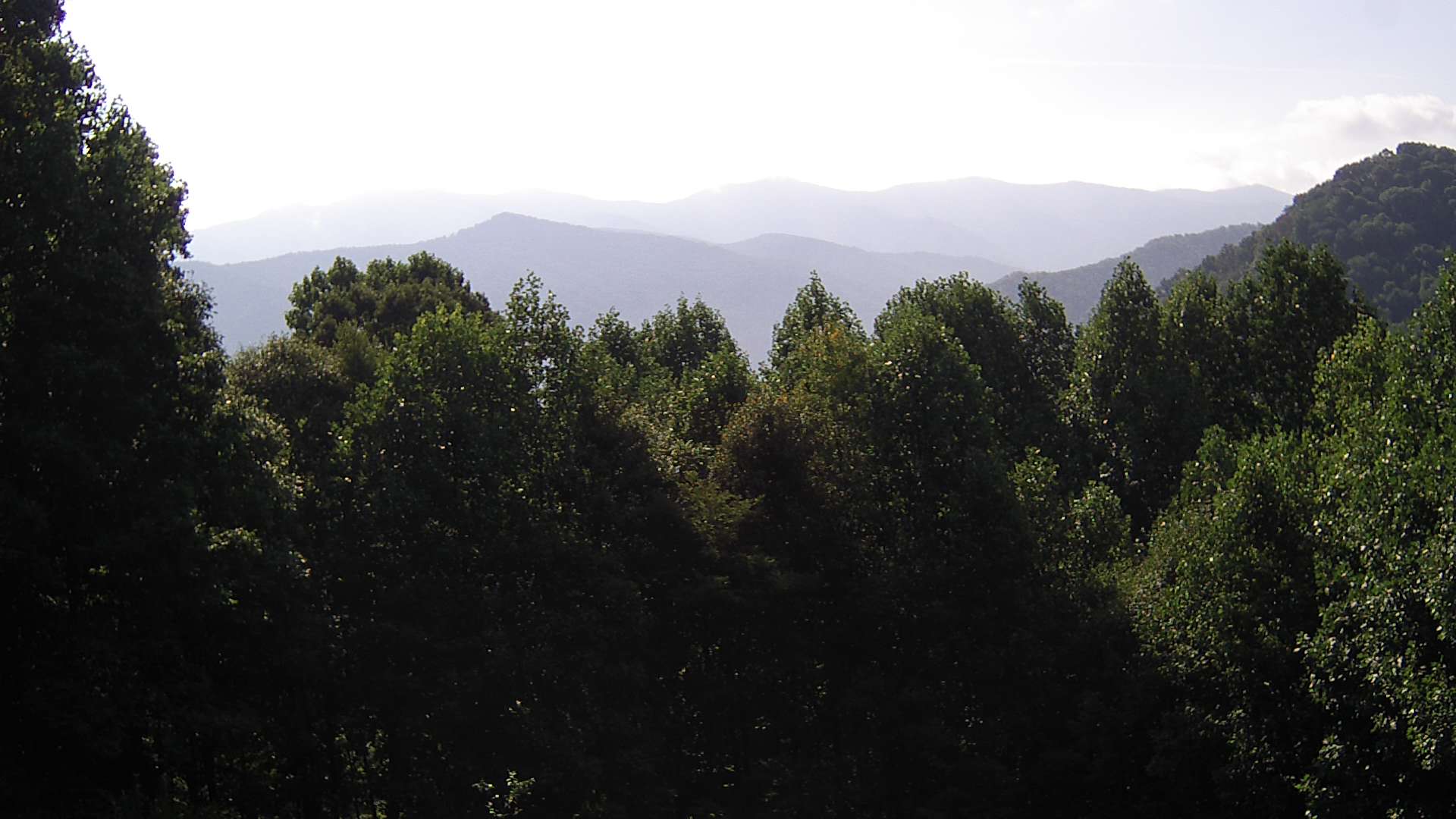 click for next image... slideshow image