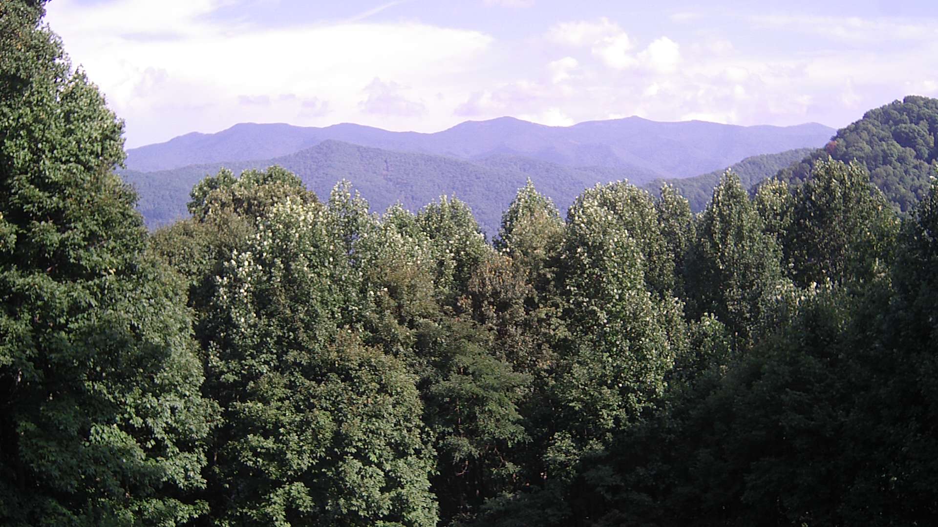 click for next image... slideshow image