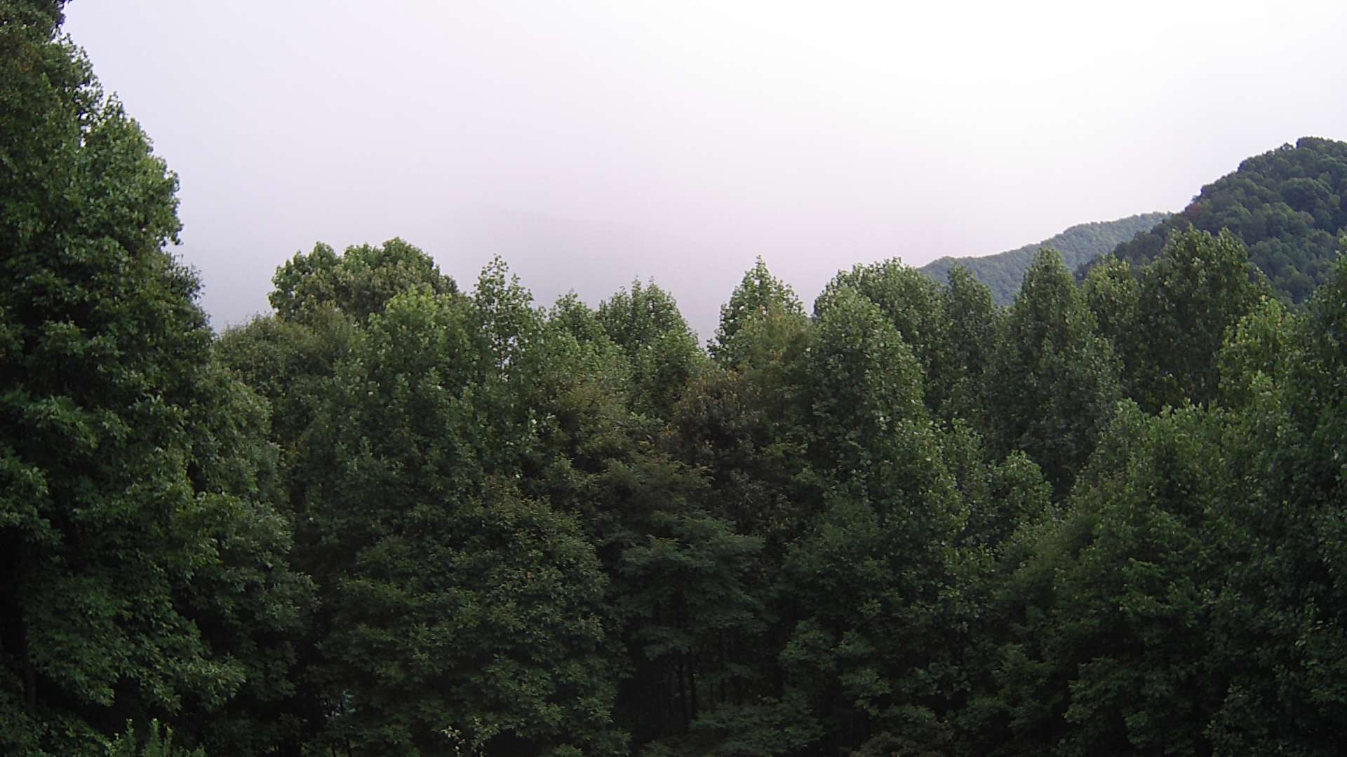 click for next image... slideshow image
