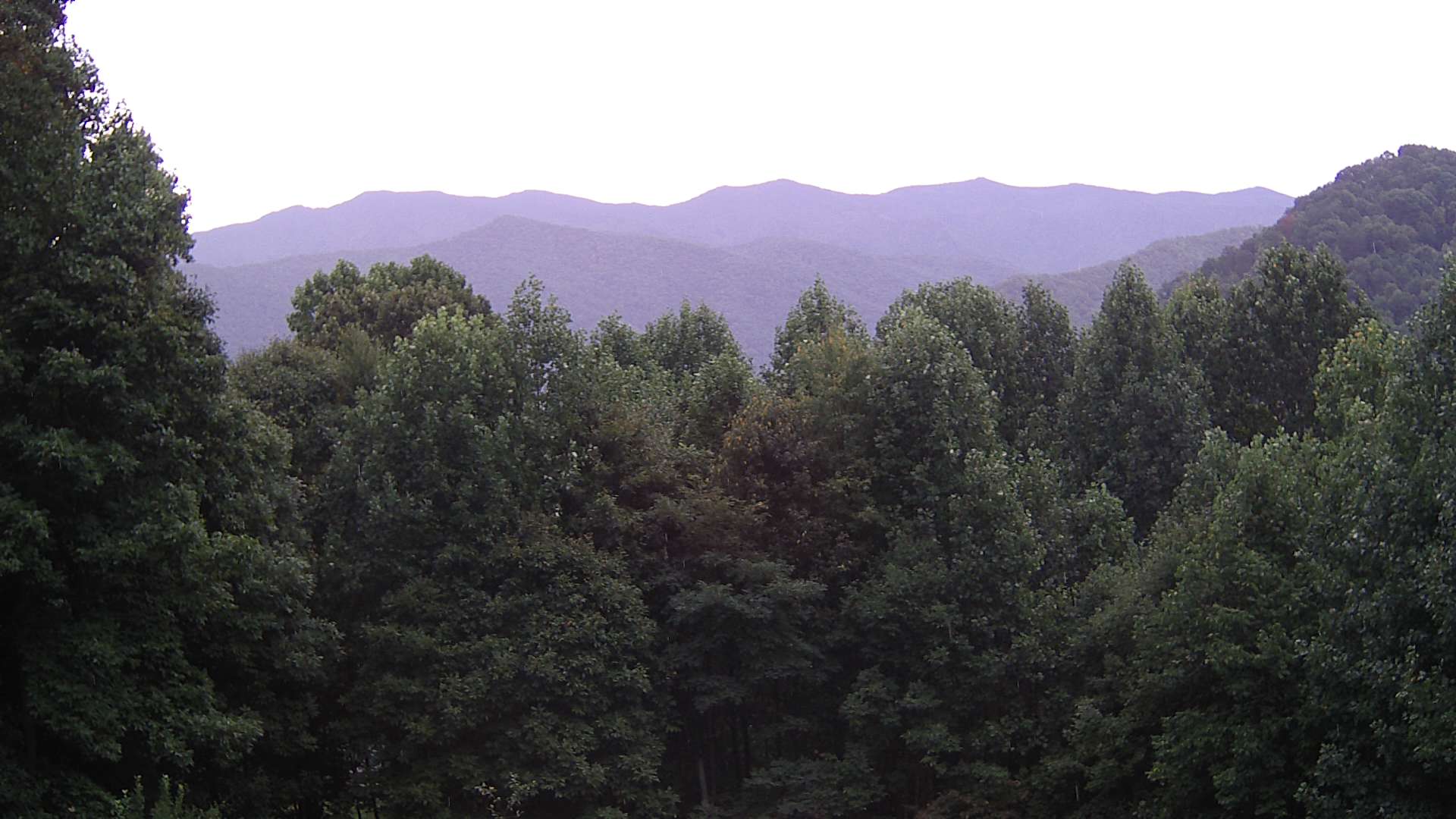 click for next image... slideshow image
