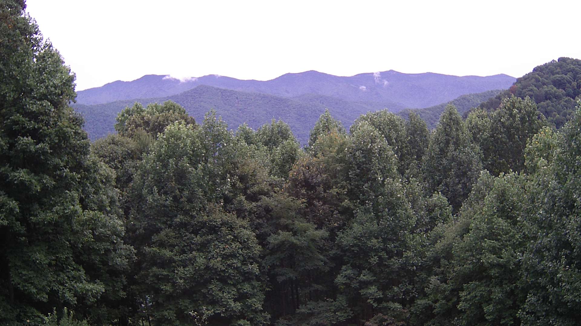 click for next image... slideshow image