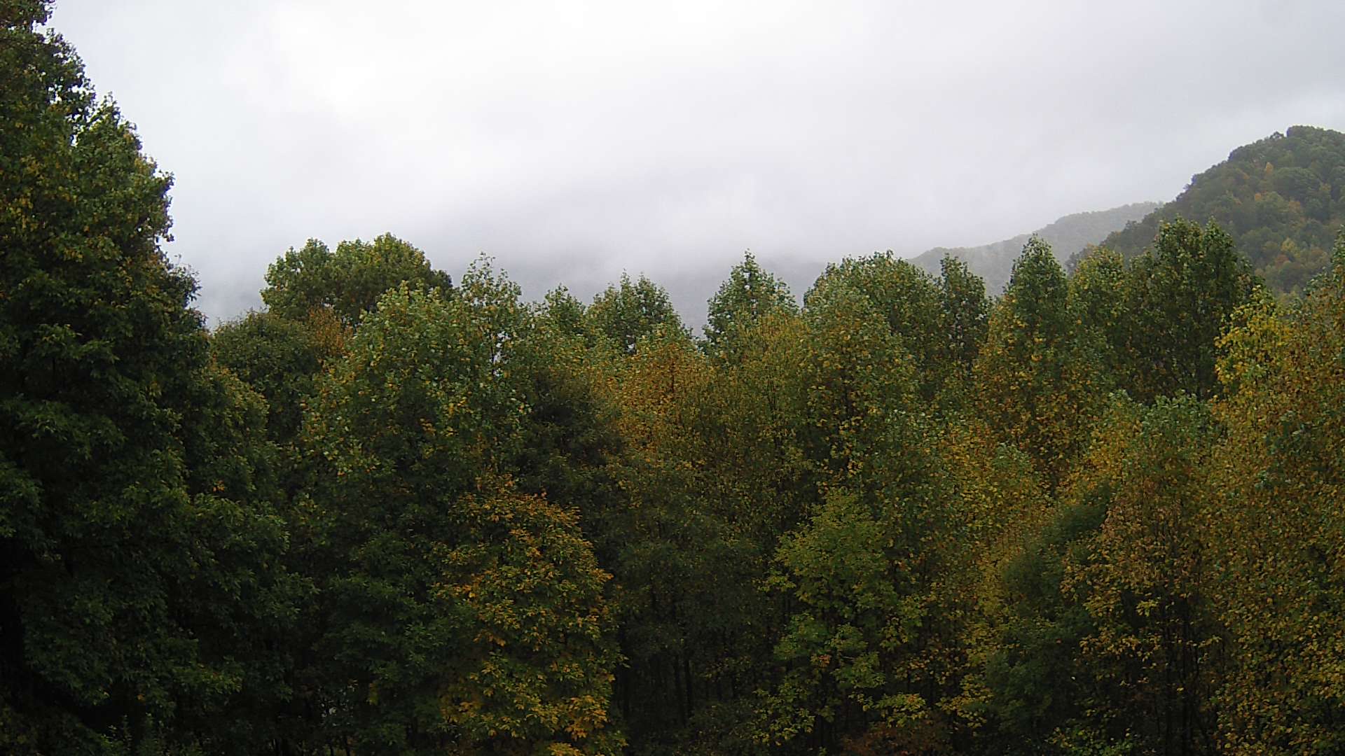 click for next image... slideshow image