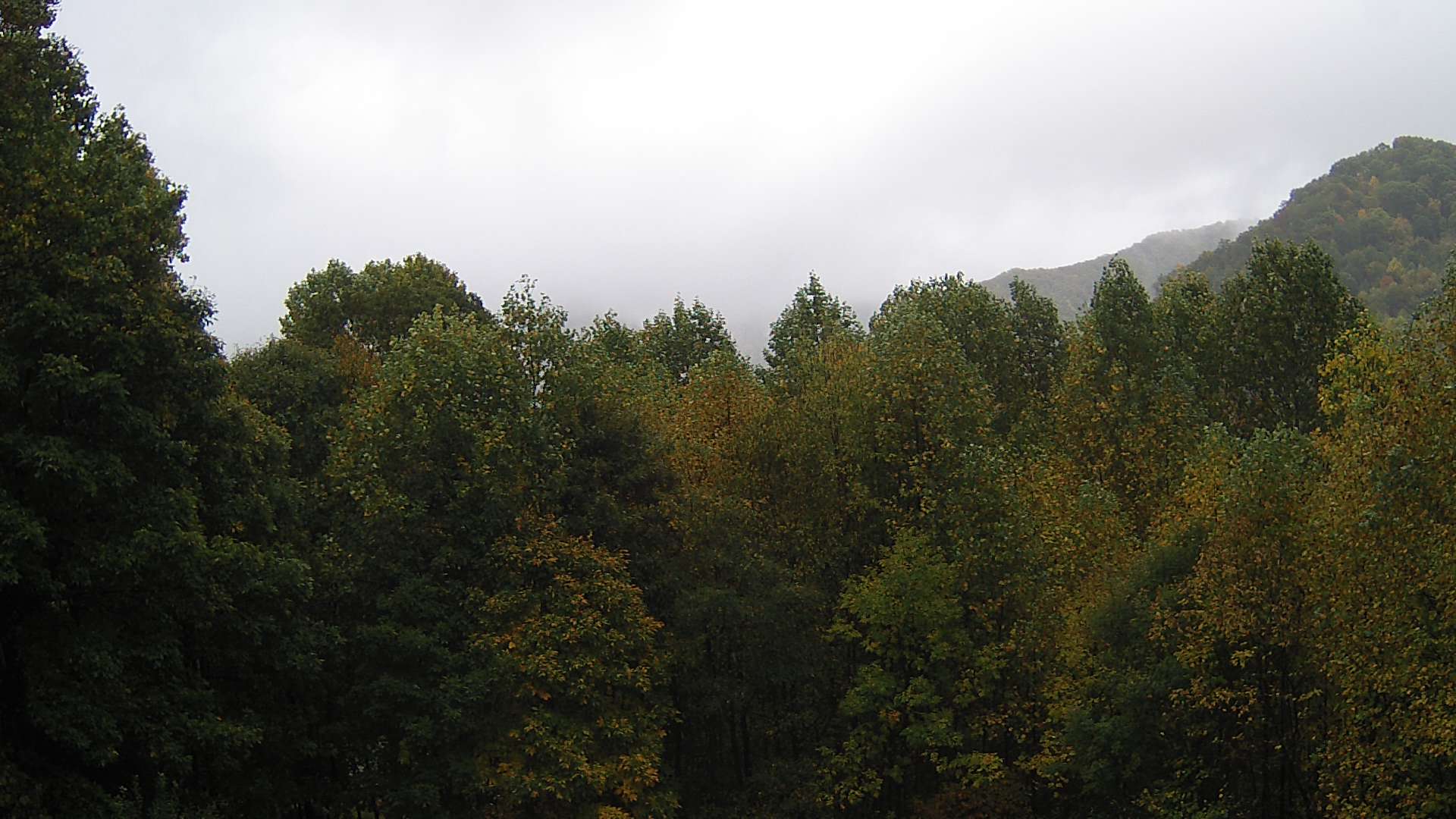 click for next image... slideshow image