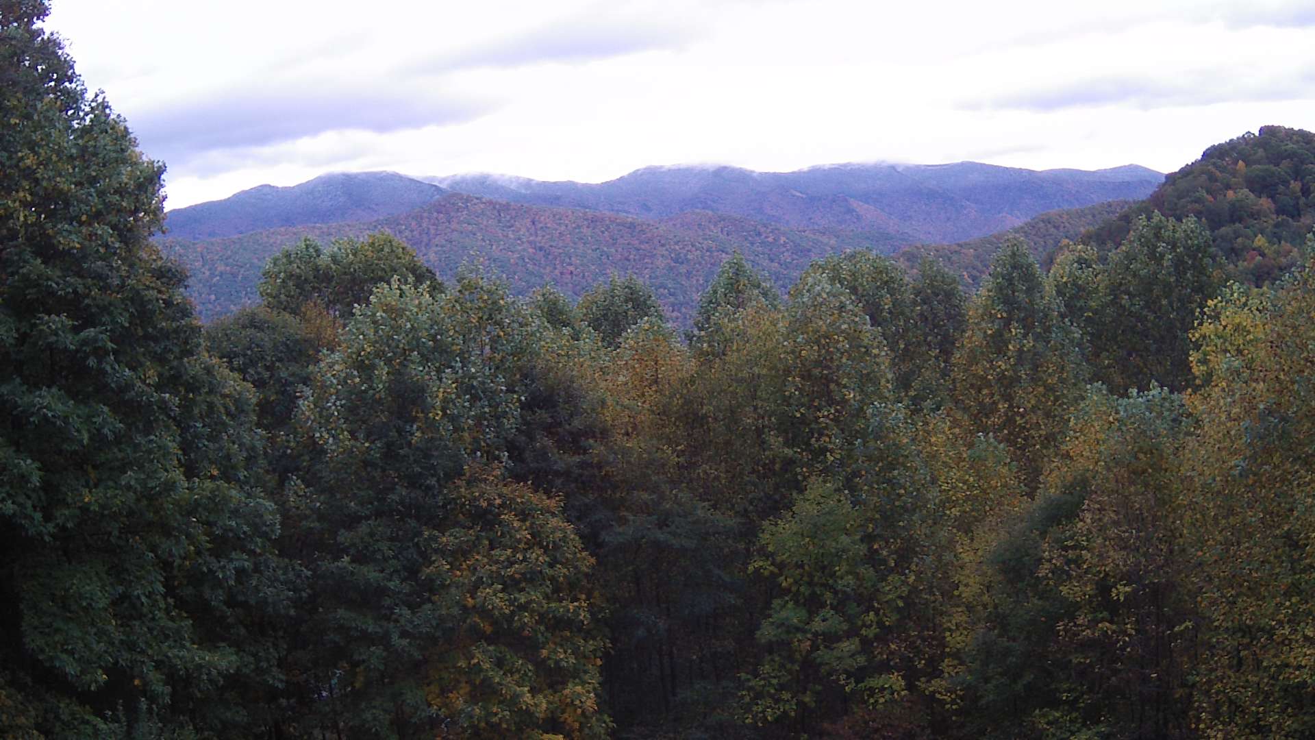 click for next image... slideshow image