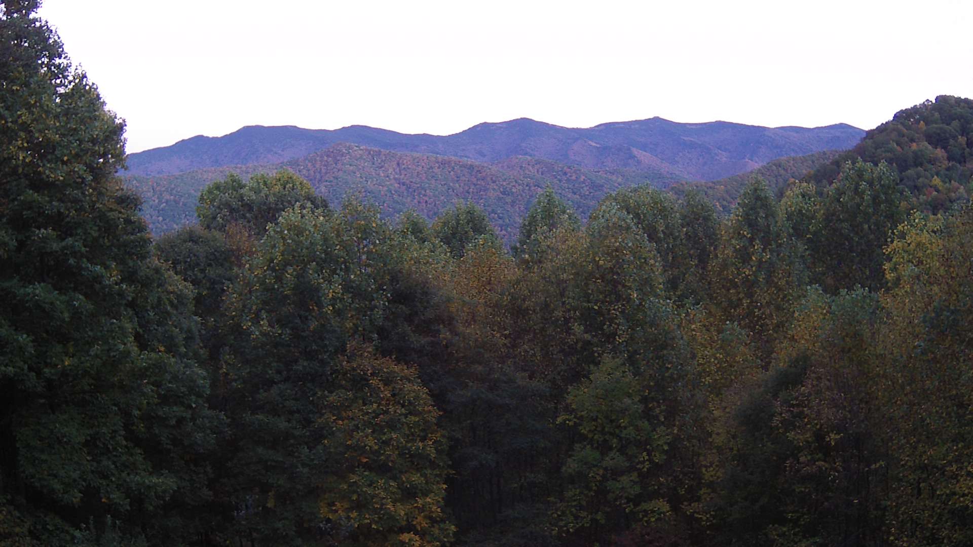 click for next image... slideshow image