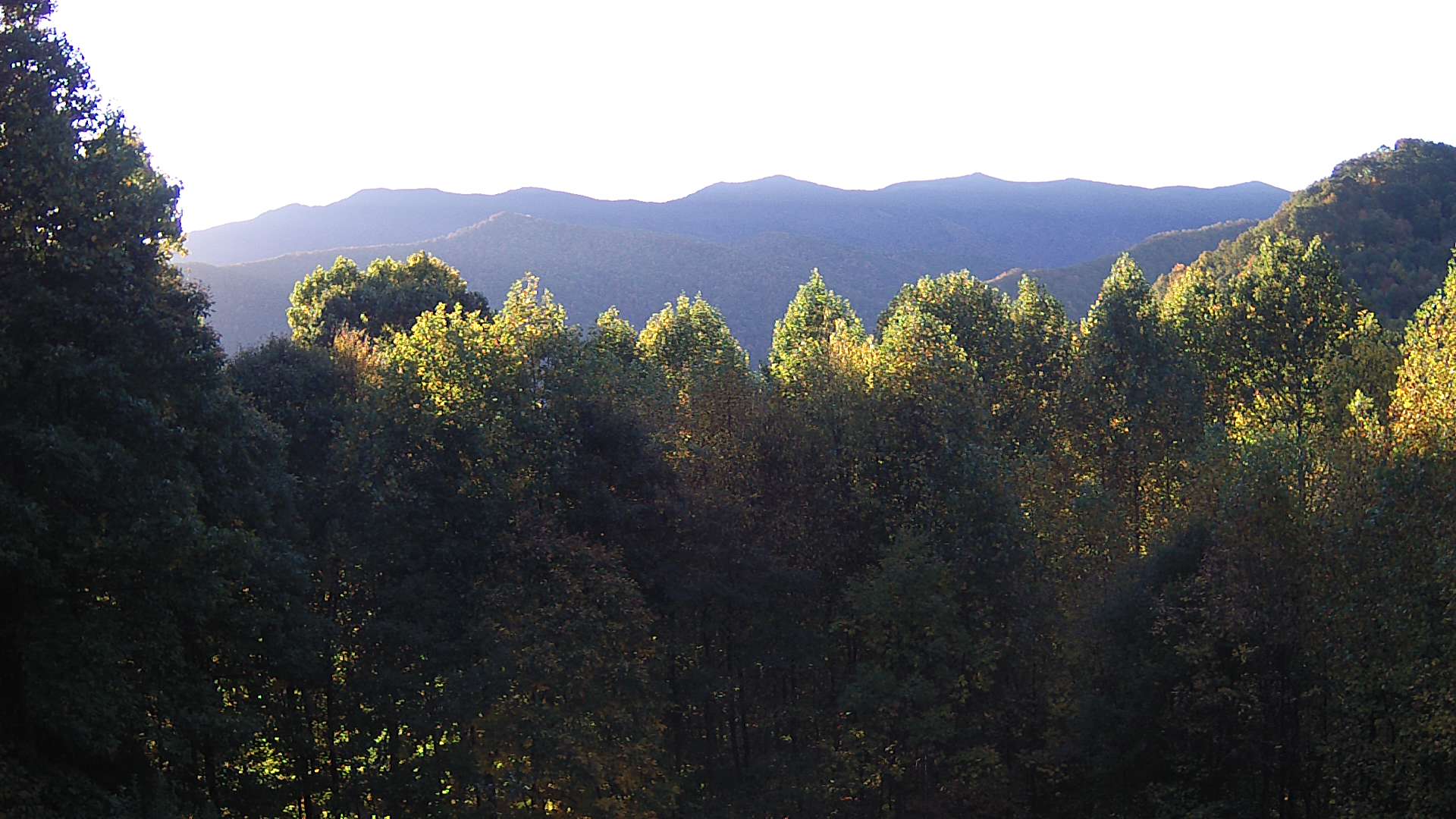 click for next image... slideshow image