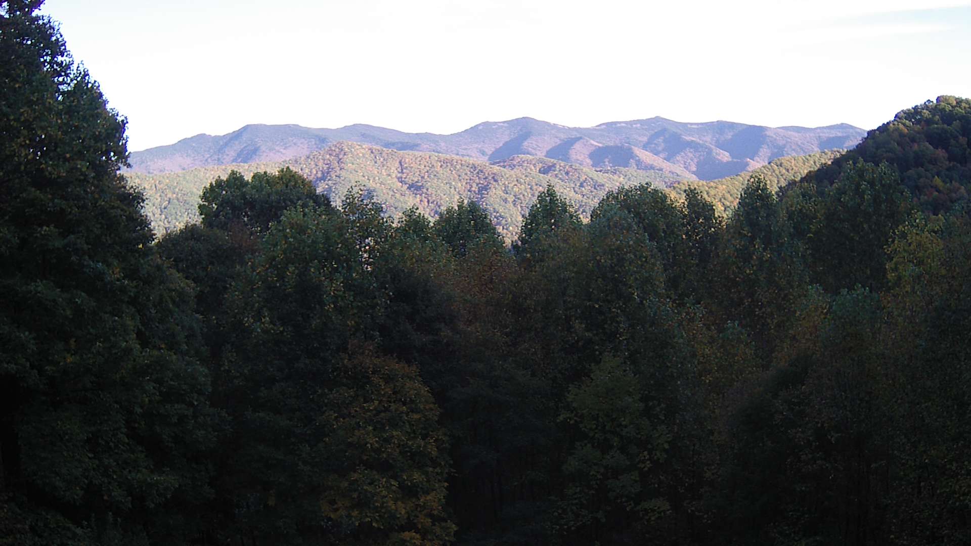 click for next image... slideshow image