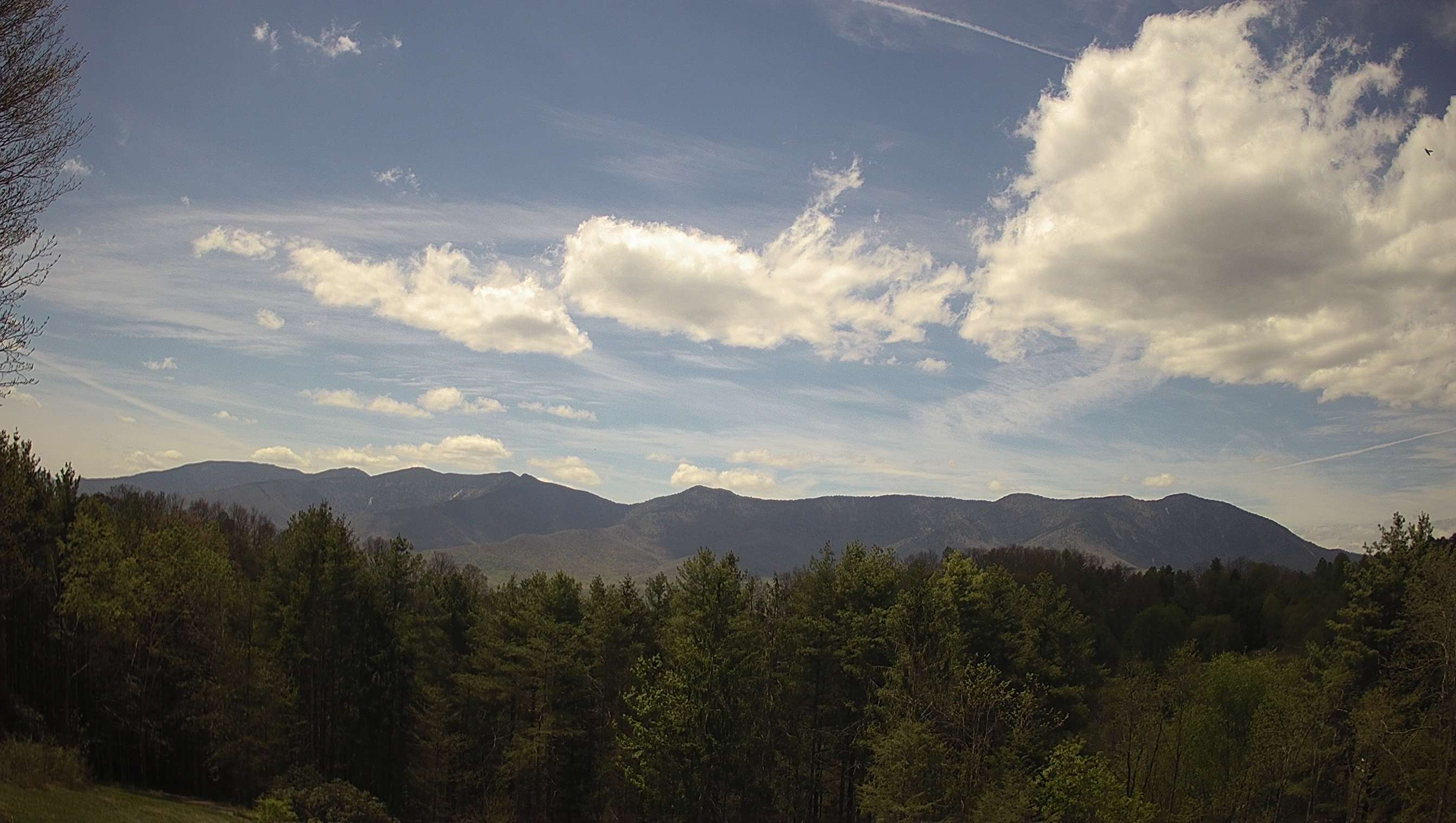 slideshow image