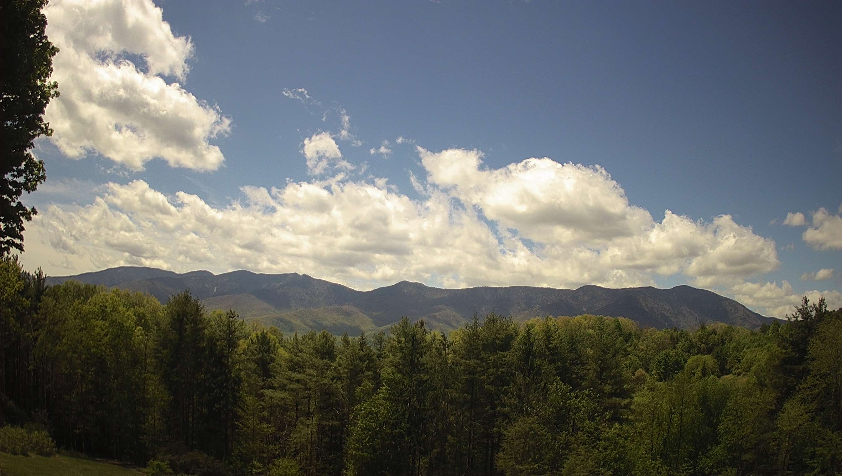 slideshow image